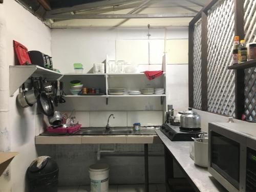 olivias accommodation