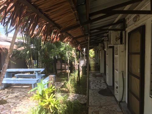 olivias accommodation