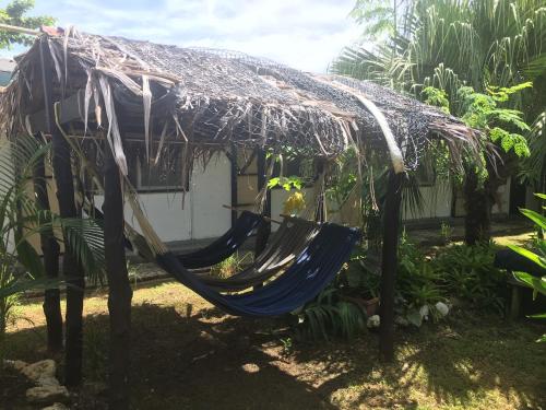 olivias accommodation