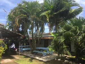 olivias accommodation