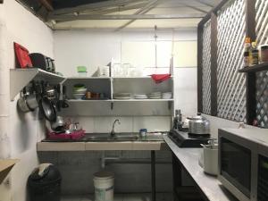 olivias accommodation