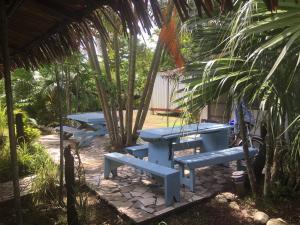 olivias accommodation