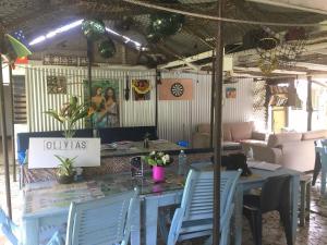 olivias accommodation