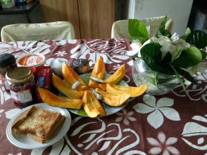 olivias accommodation