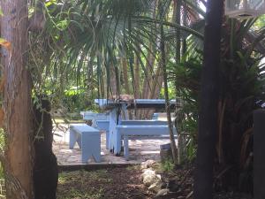 olivias accommodation