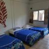 olivias accommodation