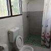 olivias accommodation