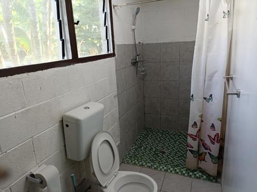 olivias accommodation