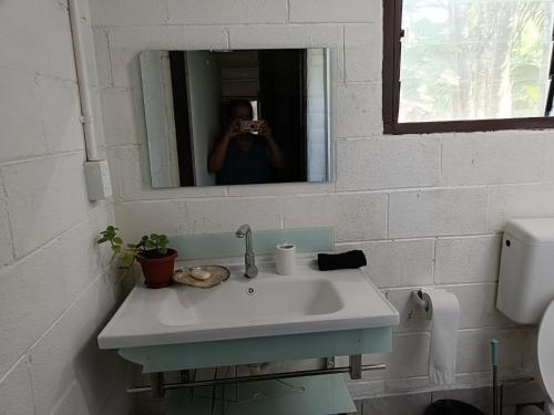 olivias accommodation