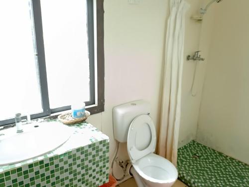 olivias accommodation