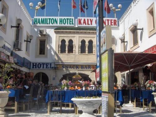 hotel hamilton kaly center