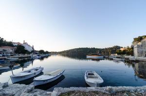mljet