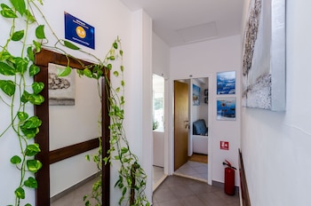 mljet