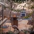 ukuthula bush lodge
