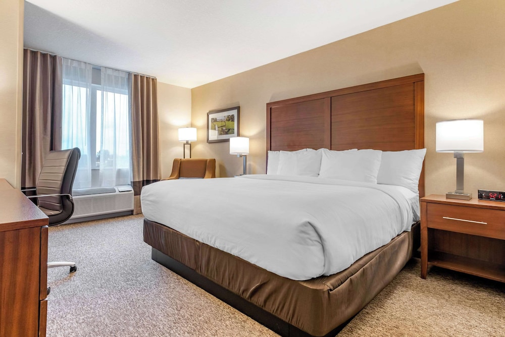 comfort inn and suites