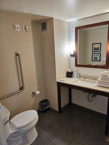 comfort inn and suites