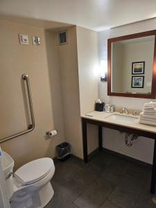 comfort inn and suites