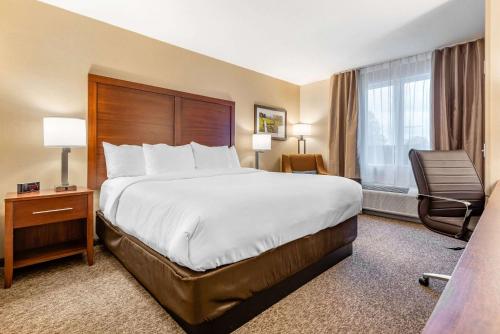 comfort inn and suites