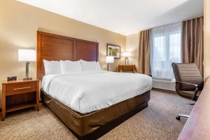 comfort inn and suites