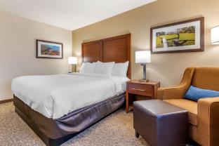 comfort inn and suites