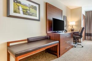 comfort inn and suites
