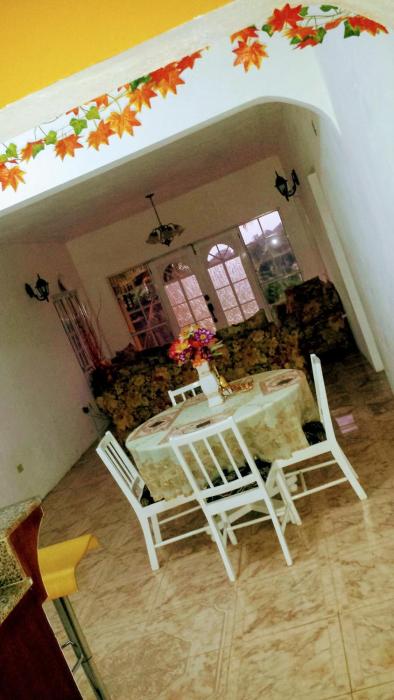 bamboo