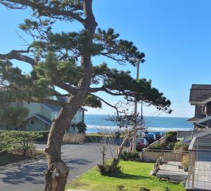 cannon beach