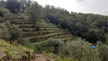 agriturismo cerrolungo