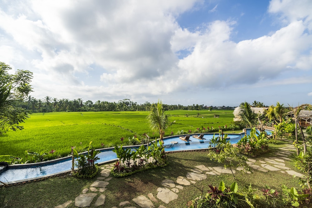 beehouse dijiwa ubud