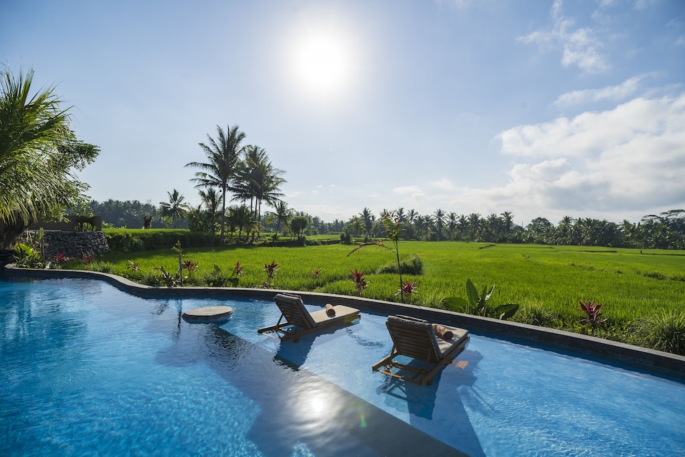 beehouse dijiwa ubud