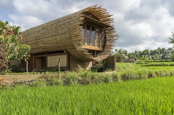 beehouse dijiwa ubud