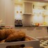 bandb pistoia inn