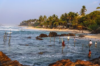 naomi beach resort