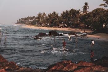 naomi beach resort