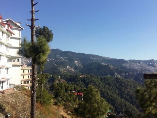 onlystay silicon inn shimla