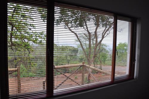 hazyview buffalo game lodge