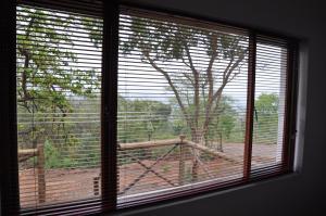 hazyview buffalo game lodge