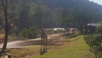 Ruah Park Camping & Outdoor,Johannesburg>>Cullinan,1 star