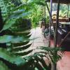 namaste jungle a boutique homestay