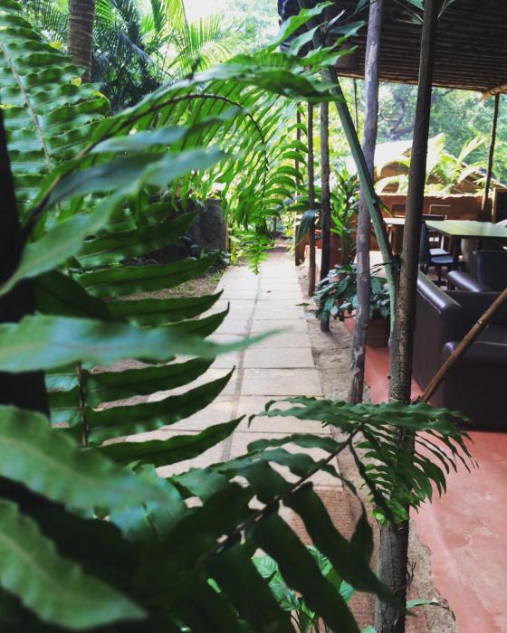 namaste jungle a boutique homestay