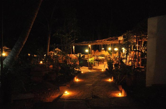 namaste jungle a boutique homestay
