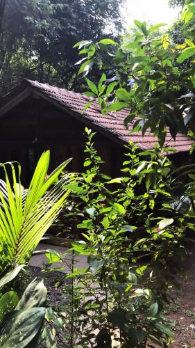 namaste jungle a boutique homestay