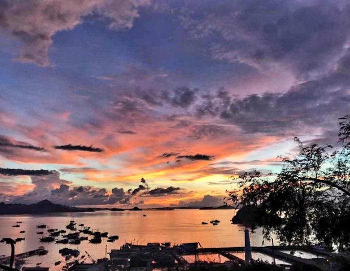 bayview gardens hotel