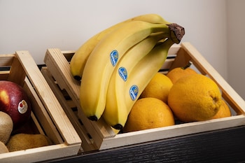 hotel palazzo argenta