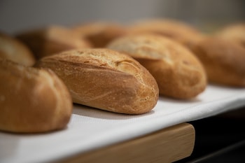 hotel palazzo argenta