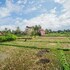 molecha guest house