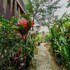 molecha guest house