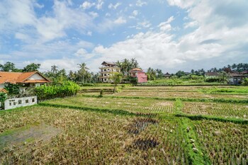 molecha guest house