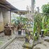 ubud