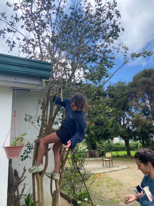 silver meir bungalow